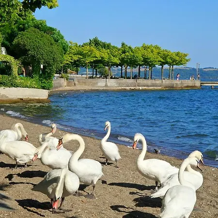 L'angolo